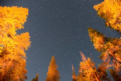 DSC_3729 (Large).JPG